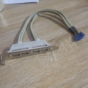 USB2.0 Header Bracket Mainboard Header Extension Cable 4 Port USB Header Cable - Picture 1 of 3