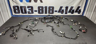 Arnés de tablero Ford F-150 2016 5,0 fabricante de equipos originales Foto 1 de 4