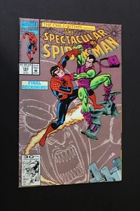 The Spectacular Spider-Man #183 diciembre 1991 - Imagen 1 de 6