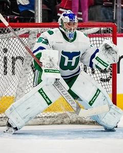 Foto de hockey de Pyotr Kochetkov en postura neta Carolina huracanes ballenas 8x10 NHL - Imagen 1 de 1