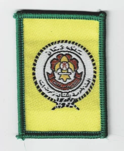 SCOUTS OF OMAN - CUB SCOUT MEMBERSHIP (PROMISE) RANK AWARD PATCH ~ MINT - Picture 1 of 2