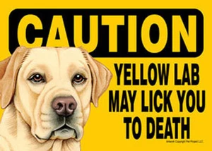 Yellow Lab Caution May Lick You To Death Dog Sign Magnet Hook & Loop Fastener... - Picture 1 of 1