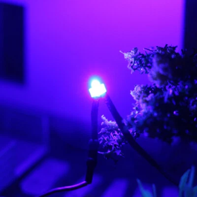 20pcs Pre-wired Resistor 26awg Wire Diffused Blue 1.8mm LED Lamp Light 12V - Image 1 of 4