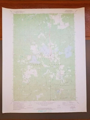 Оригинальная винтажная топографическая карта Лаоны, Висконсин 1972 USGS 27 дюймов x 22 дюйма - Изображение 1 из 4