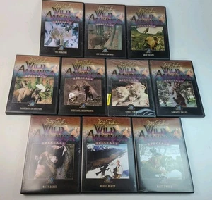 Lot Of 10 Wild America DVDs Marty Stouffer (9 & 10 Missing) Nature Doc *AS IS* - Picture 1 of 4