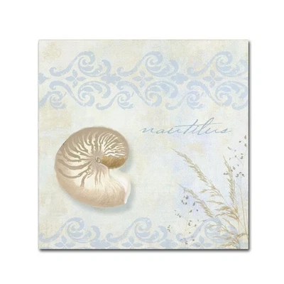 Arte de parede praia concha decoração costeira ela vende conchas estampa oceano 18x18 - Imagem 1 de 3