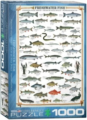 Freshwater Fish 1000pc jigsaw puzzle 680mm x 490mm by Eurographics - Image 1 of 3