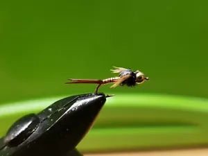12 Brass Bead Copper John Nymph Wet Fly Trout - Picture 1 of 1