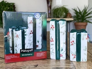 Saleros y pimienta PFALTZGRAFF Winterberry PRESENTE DE NAVIDAD Caja NUEVOS - Imagen 1 de 7