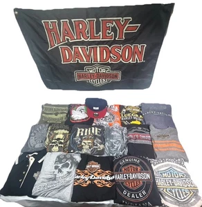 Camisetas Harley Davidson vintage años 90 00, manga larga, bandera, sombrero y más L-2X - Imagen 1 de 10