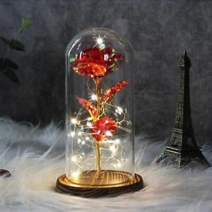 Eternal Flower LED Enchanted Galaxy Rose Lights In Dome Beauty and the Beast Ros