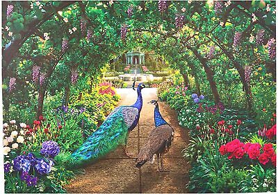 Page Publications Collection - Peacock Pathway Jigsaw Puzzles 1000 Pieces Adults • 14.99$