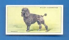 DOGS.No.23.POODLE.WILLS CIGARETTE CARD ISSUED 1937