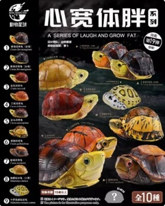 Animal Planet Cuore Grasso Corpo Largo Serie 19° Proiettile Conchiglia Chiusa Modello Tartaruga - Foto 1 di 20