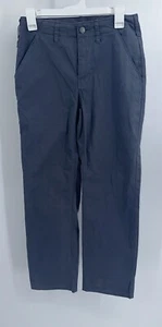 Men's Patagonia Blue/Gray Pants Size 28 X 32 - Picture 1 of 11