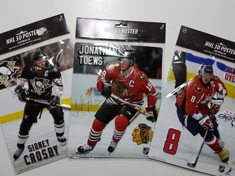 NHL 3D poster Brand New & Sealed - YOU PICK FROM LIST Cover