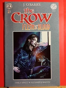 1996 Kitchen Sink Comics The Crow Flesh Blood Issue 2 James OBarr Cover Artist - Picture 1 of 1