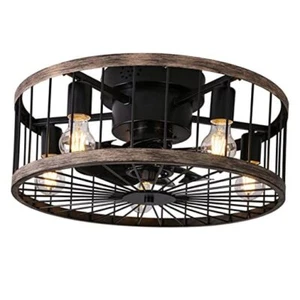 Caged Ceiling Fan with Light, 20 Inch Low Profile Farmhouse Ceiling Fan with - Picture 1 of 7