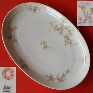 Ch Field Haviland Limoges GDA France CHF1529 11" Oval Serving Platter. Pink Rose - Picture 1 of 8