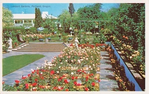 Lambert Gardens Portland ODER Vintage Postkarte blühende Rosen Blumen - Bild 1 von 2