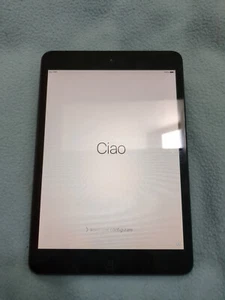 Apple iPad mini 1st Gen. 16GB, Wi-Fi, 7.9in - Black & Slate - Picture 1 of 2