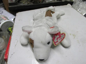 [A21] Beanie Baby Butch, mit Etikett - Bild 1 von 2