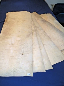 Esche Cluster Furnier Einzelblätter ca. 1000 x 350 mm 6 Blätter Nr. 875 - Bild 1 von 4