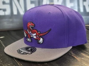 Mitchell & Ness Dynasty Toronto Raptors Purple/Gray HWC Fitted Hat Men 8 - Picture 1 of 2