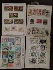 Collezione di Francobolli - Foto 1 di 7