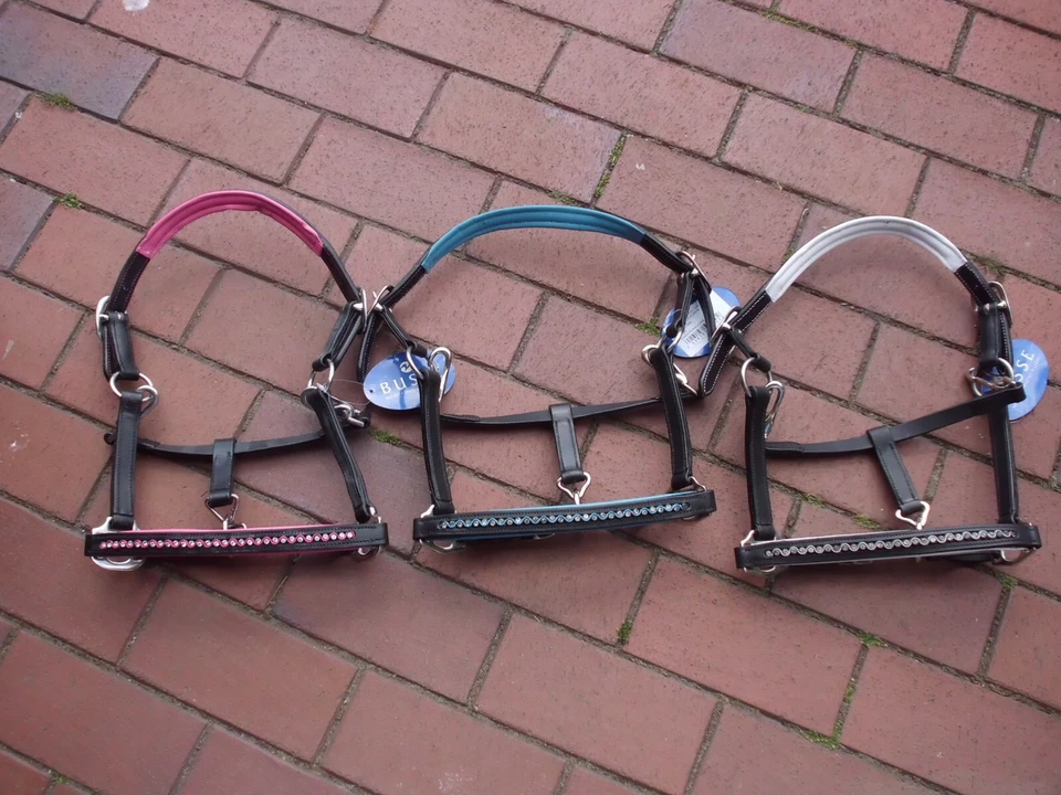 Halfter COLOUR-WAVE Busse Leder Größen Mini-Shetty- Pony ,3 Farben,neu - Bild 1 von 1