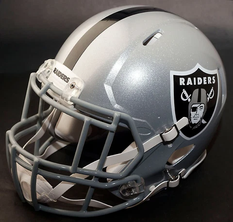 *CUSTOM* OAKLAND RAIDERS NFL Riddell Full Size SPEED Football Helmet Cover