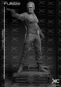 Peacemaker Suicide Squad DC Resin 3d printed DIY model kit - Picture 1 of 4