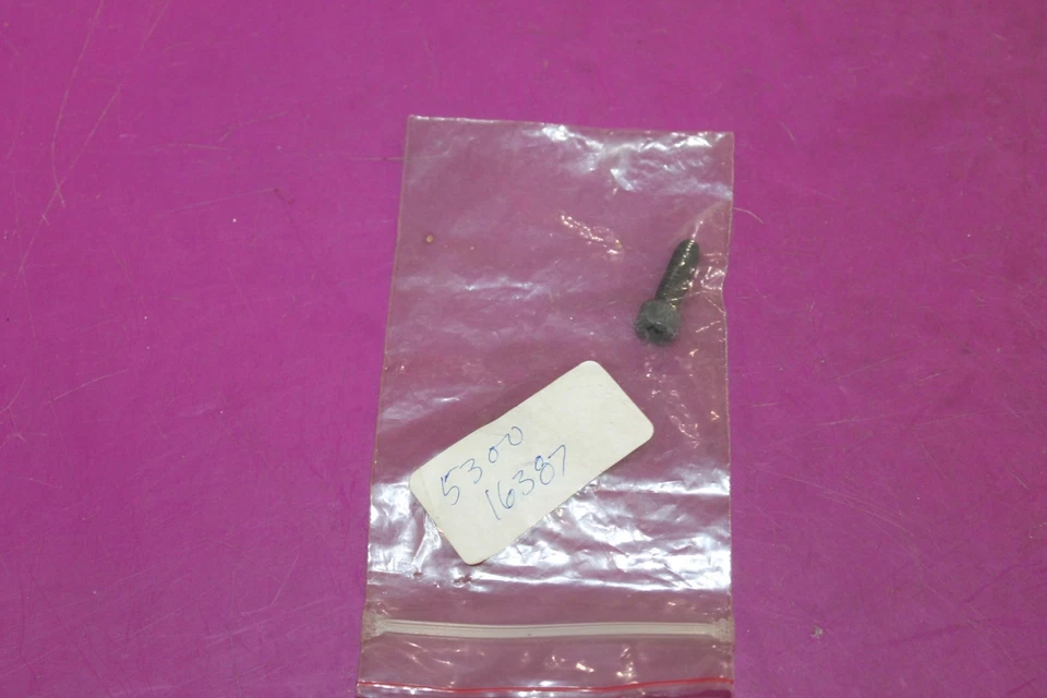 Tornillo Poulan NOS. Parte 530016387. 16387. Ver foto. Foto 1 de 1