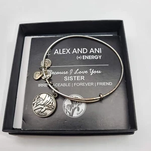 Alex and Ani Because I Love You Sister Silver Bracelet - Unbreakable Bond - Picture 1 of 8