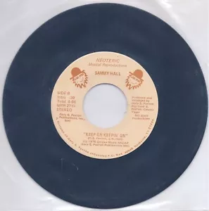 Sammy Hall - Hey, The Moon is Falling / Keep On Keepin' On - 45 rpm Radio Promo - Foto 1 di 4