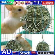 Stainless Steel Plating Pet Hay Manger Food Ball Rabbit Grass Rack (Blue)