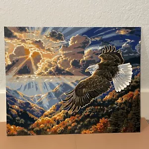 Paint By Number Picture Eagle Landscape Bird Completed 20 in x 16 in Art - Picture 1 of 11