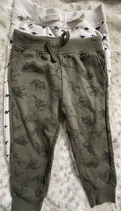 Infant Toddler Boys 2 Pairs Of Dinosaur Fleece Pants Slim Fit 2T NEW - Picture 1 of 3