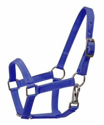Nuevo NEGRO VERDE ROSA PÚRPURA ROJO Nylon Ajustable Halter con Clip MINI Caballo o PONY 5946 Foto 1 de 4