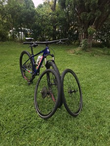 avanti black thunder bike price