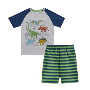 Childrens / Boys Dinosaur Facts Short Pyjama Set / Pajamas PJ Nightwear ~ 3-10yr - Picture 1 of 1