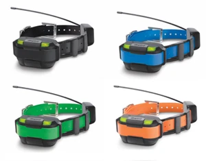 Dogtra Pathfinder MINI Track+Train Add a Dog Collar with Locator LED Beacon - Picture 1 of 5