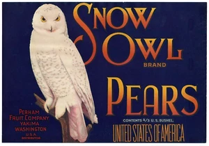 Original SNOW OWL pear crate label Perham Fruit Corporation Yakima Washington - Picture 1 of 2