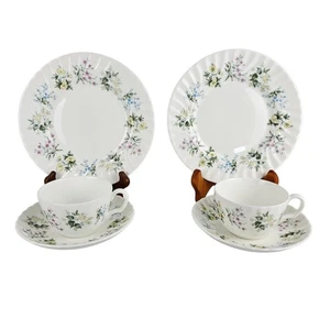 Lot of Minton Spring Valley 2 Salad Plates 2 cups and 2 saucers Flowers - Picture 1 of 16