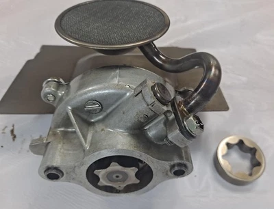 1440 Cub Cadet 1641 2160 2164 BOMBA DE ÓLEO Briggs & Stratton 294447 303447 BS-807644 - Imagem 1 de 4