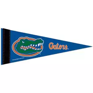 Florida Gators Mini Pennant - 4" x 10" - Picture 1 of 1