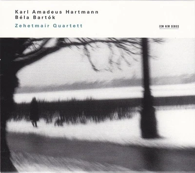 Karl Amadeus Hartmann / Béla Bartók Zehetmair CD Album 019 - Bild 1 von 4