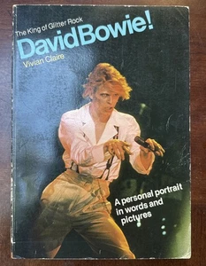 David Bowie: His Private and Public Lives - Claire, Vivian - paperback - 0711902 - Imagen 1 de 4
