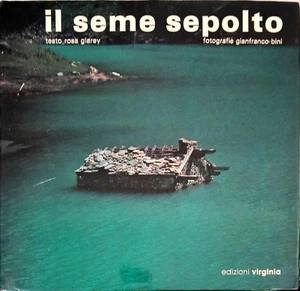 IL SEME SEPOLTO - ROSA GLAREY / GIANFRANCO BINI - EDIZIONI VIRGINIA 1982 - Foto 1 di 6