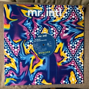 ANDY BUTLER feat. Richard Kennedy - YOU CAN GLÄNZEN NEU / NEUWERTIG VINYL 12 ZOLL - Bild 1 von 6